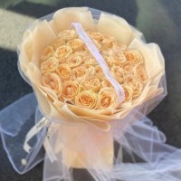˴ʻٵ
